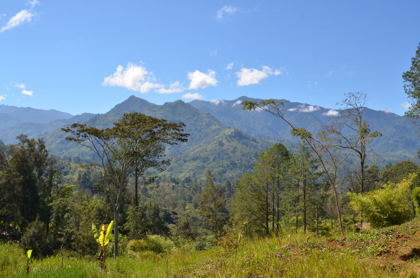 Papua New Guinea highlands landscape